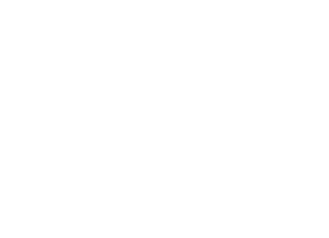 The Swan Group Logo White